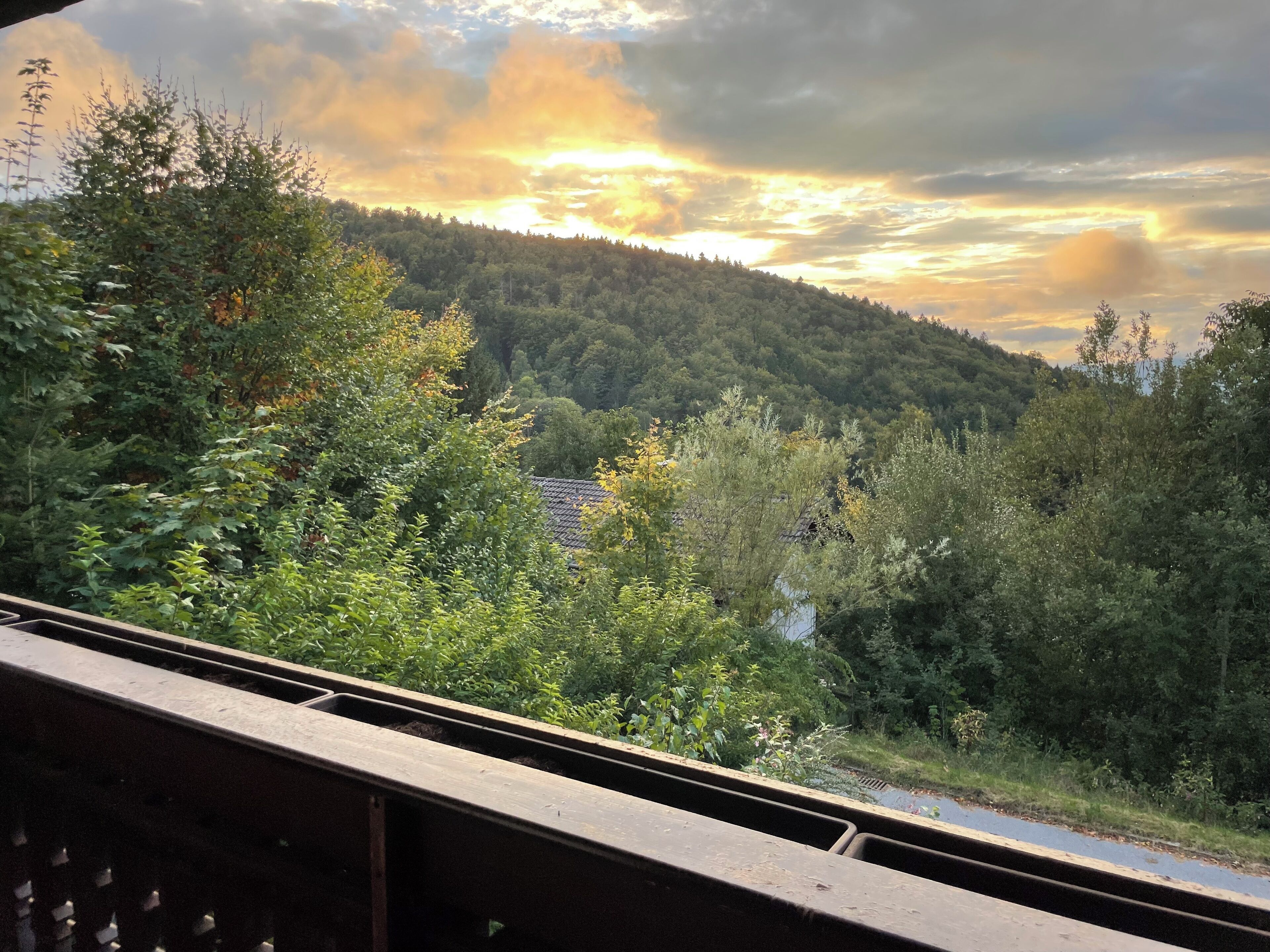 Blick aus einem Zugfenster auf einen bewaldeten Hang mit einem Haus, das in der Ferne teilweise sichtbar ist.