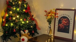Un sapin de Noël décoré de guirlandes lumineuses, un tableau encadré et un vase rempli de fleurs.