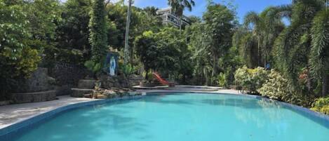 A swimming pool surrounded by lush greenery and a stone wall.