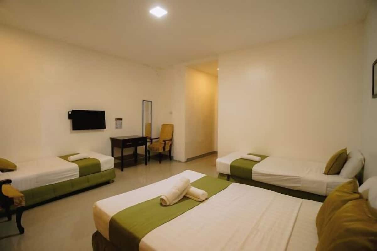 Habitación de hotel con dos camas individuales, un escritorio, una silla, un televisor y un espejo.