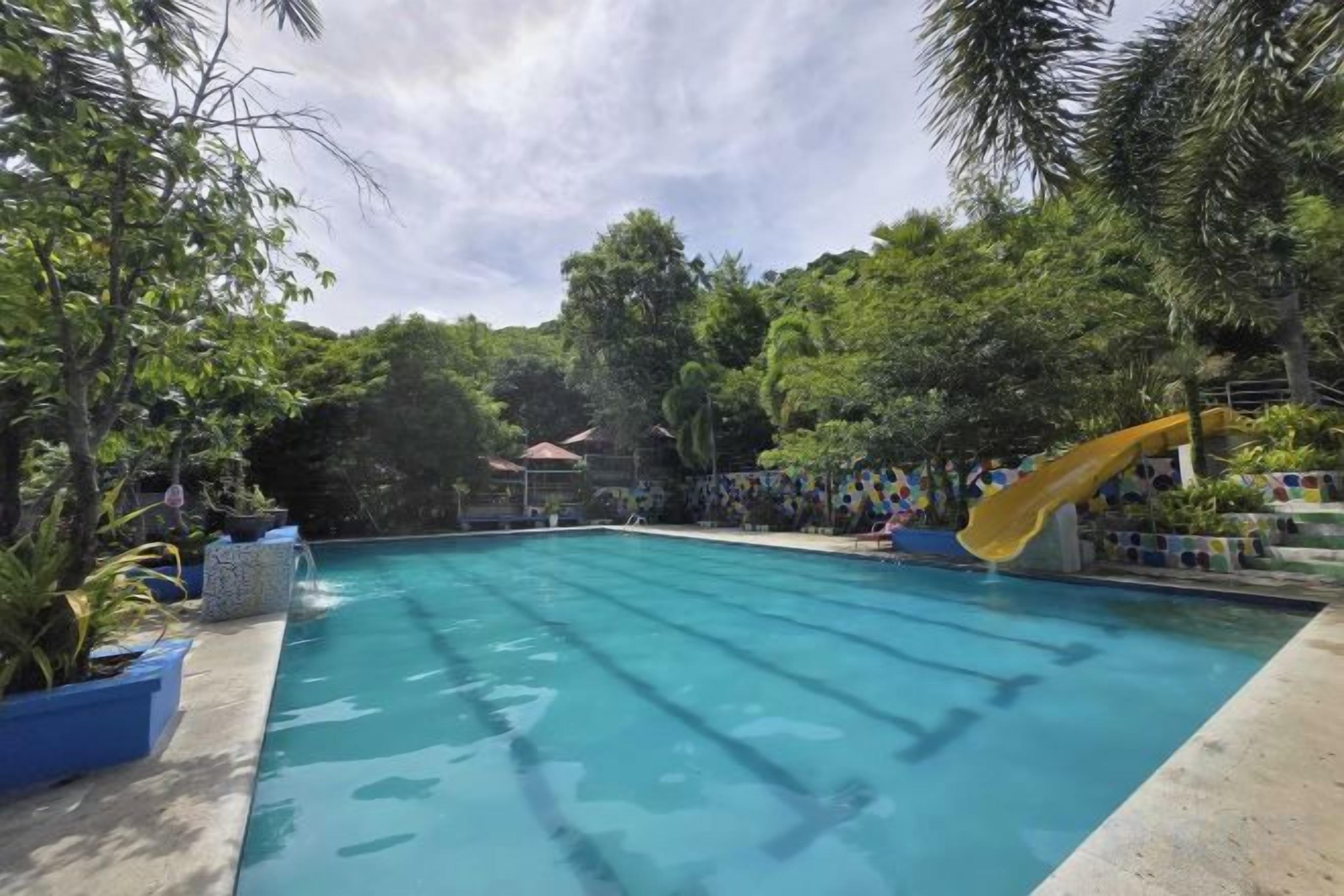 A swimming pool with a slide, surrounded by trees and a fence.