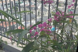 Un balcon donnant sur des immeubles et une plante aux fleurs roses.