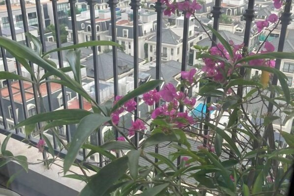 Un balcon donnant sur des immeubles et une plante aux fleurs roses.