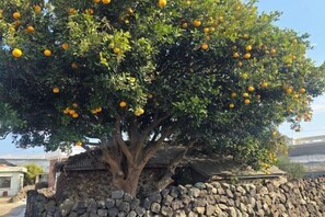 Àrea exterior de l'allotjament