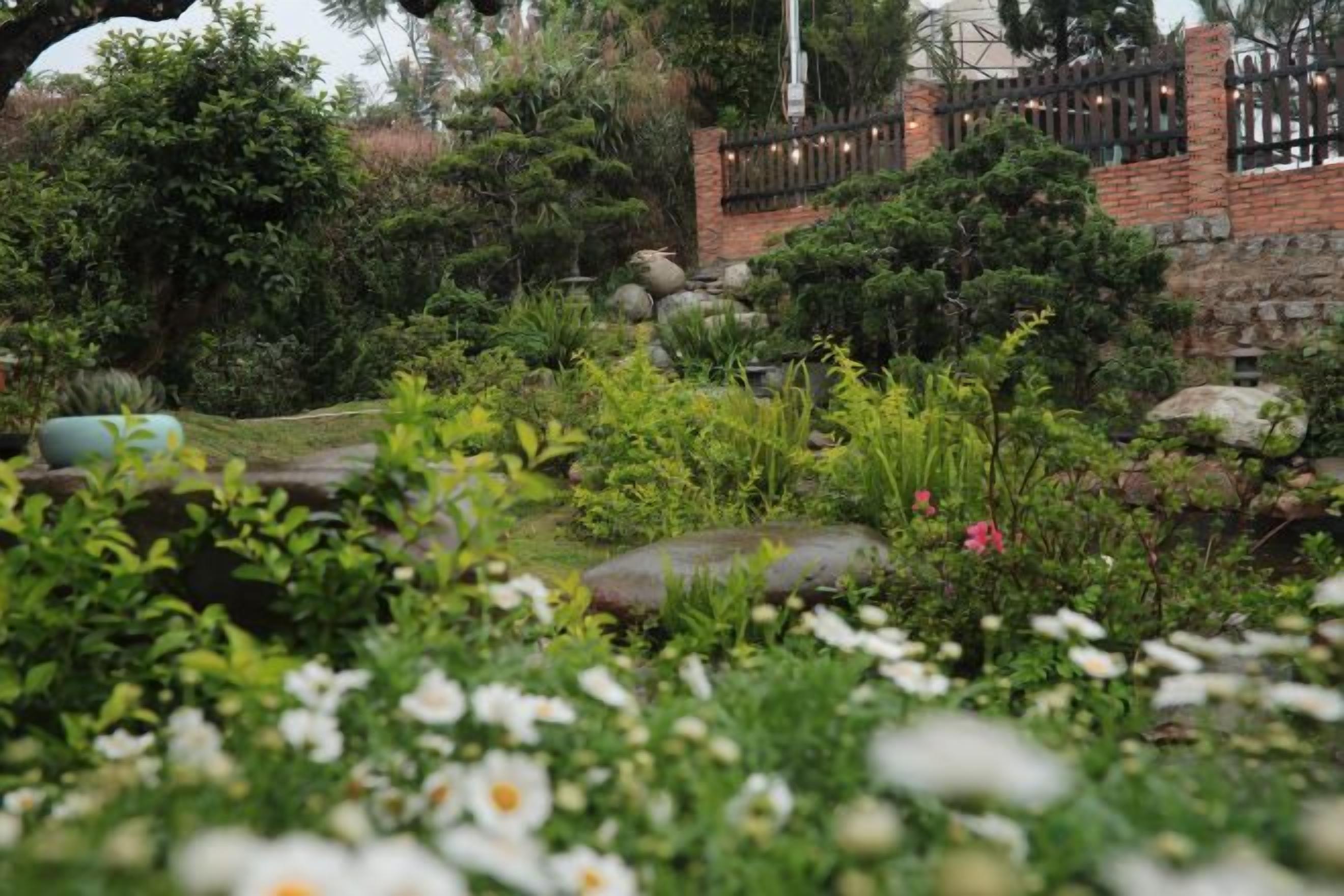 A garden with various plants, rocks, and a brick wall.