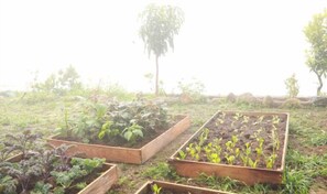 Property grounds - Mountain Nest Villa Dalat - BBQ, Cloud Hunting, Camping (Lac Duong District)