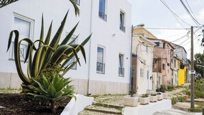 Edifici blanc amb un jardí ple de plantes verdes grans. Hi ha escales que porten a l'edifici, i s'albira un edifici groc al fons.