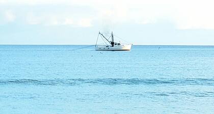 Coastal Getaway Just Steps to Sand, Pier, Fishing & The Best Dining in the area!