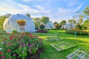 Room - Pigoon Resort & Swimming pool (Nakhon Pathom)