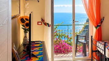 Een kamer met uitzicht op zee, een balkon met bloemen, een deur met spiegel en een kleurrijk vloerkleed.