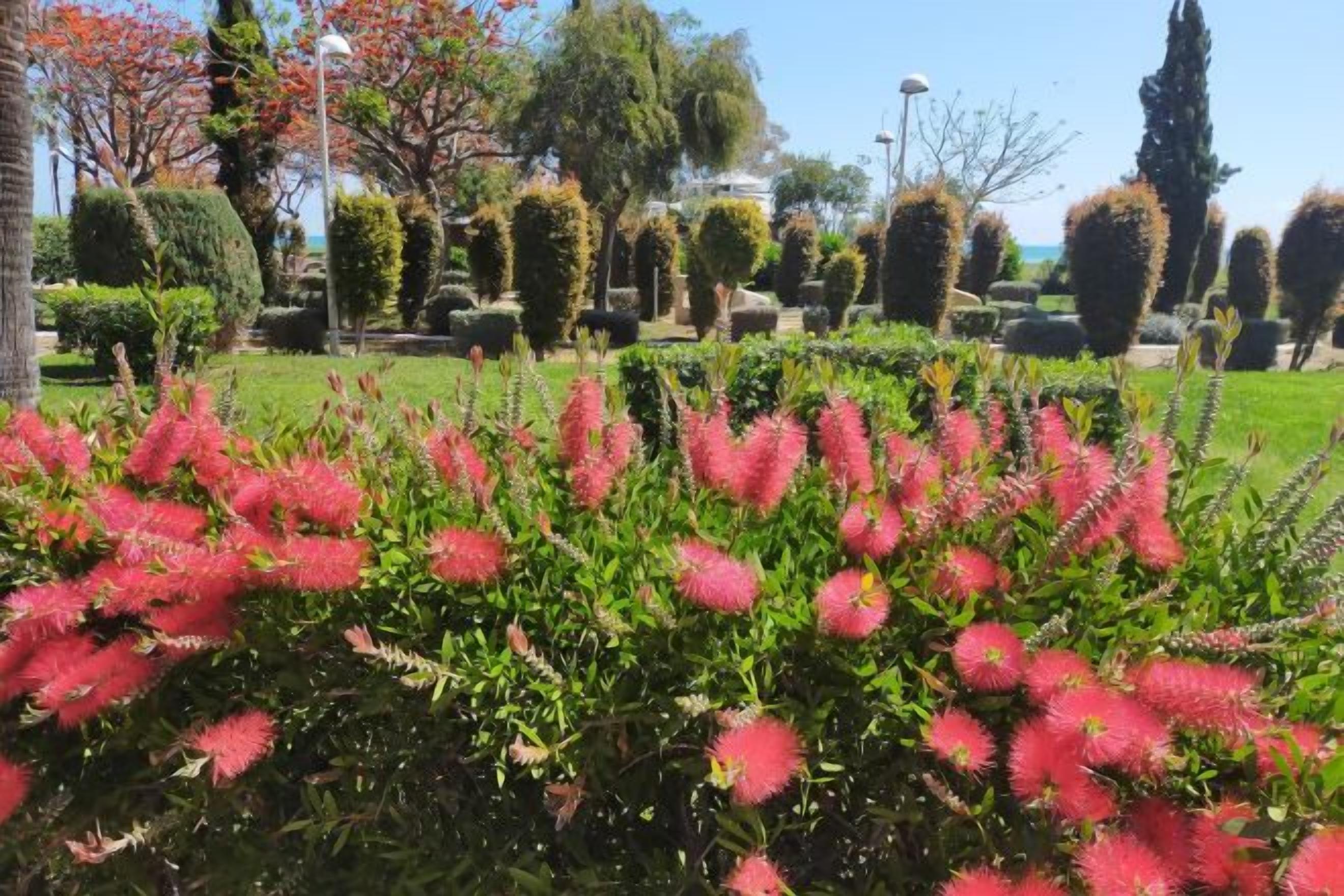 Un jardín con setos cuidados y una variedad de plantas.
