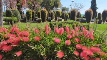 Un jardín con setos cuidados y una variedad de plantas.