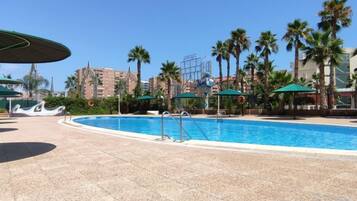Una piscina con un borde de baldosas, rodeada de palmeras y un cielo despejado.