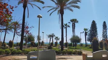 Un jardín ajardinado con palmeras, bancos y cielo despejado.