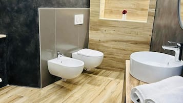 Hair dryer, towels, soap, toilet paper