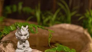 Detalle del exterior