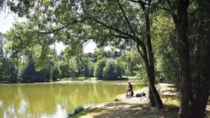 A serene lakeside setting with a person fishing, surrounded by lush greenery and trees. - Camping Domaine de la Brèche (Varennes sur Loire)