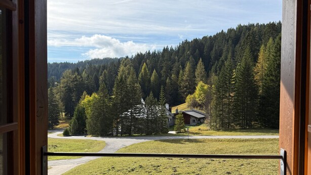 Une vue par une fenêtre à cadre en bois, donnant sur une zone boisée avec un bâtiment et une route.