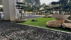 A landscaped area with potted plants, rocks, and a pebbled walkway.