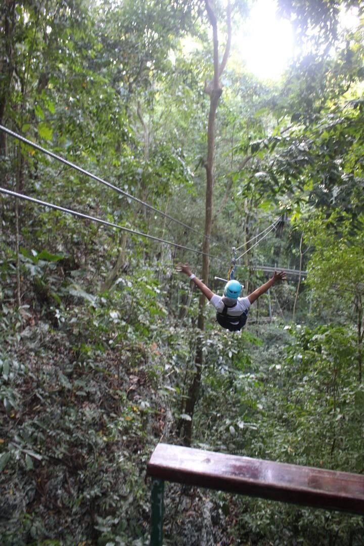 Eine Person saust mit einer Zipline durch ein bewaldetes Gebiet mit dichtem Blattwerk und Holzgeländern.