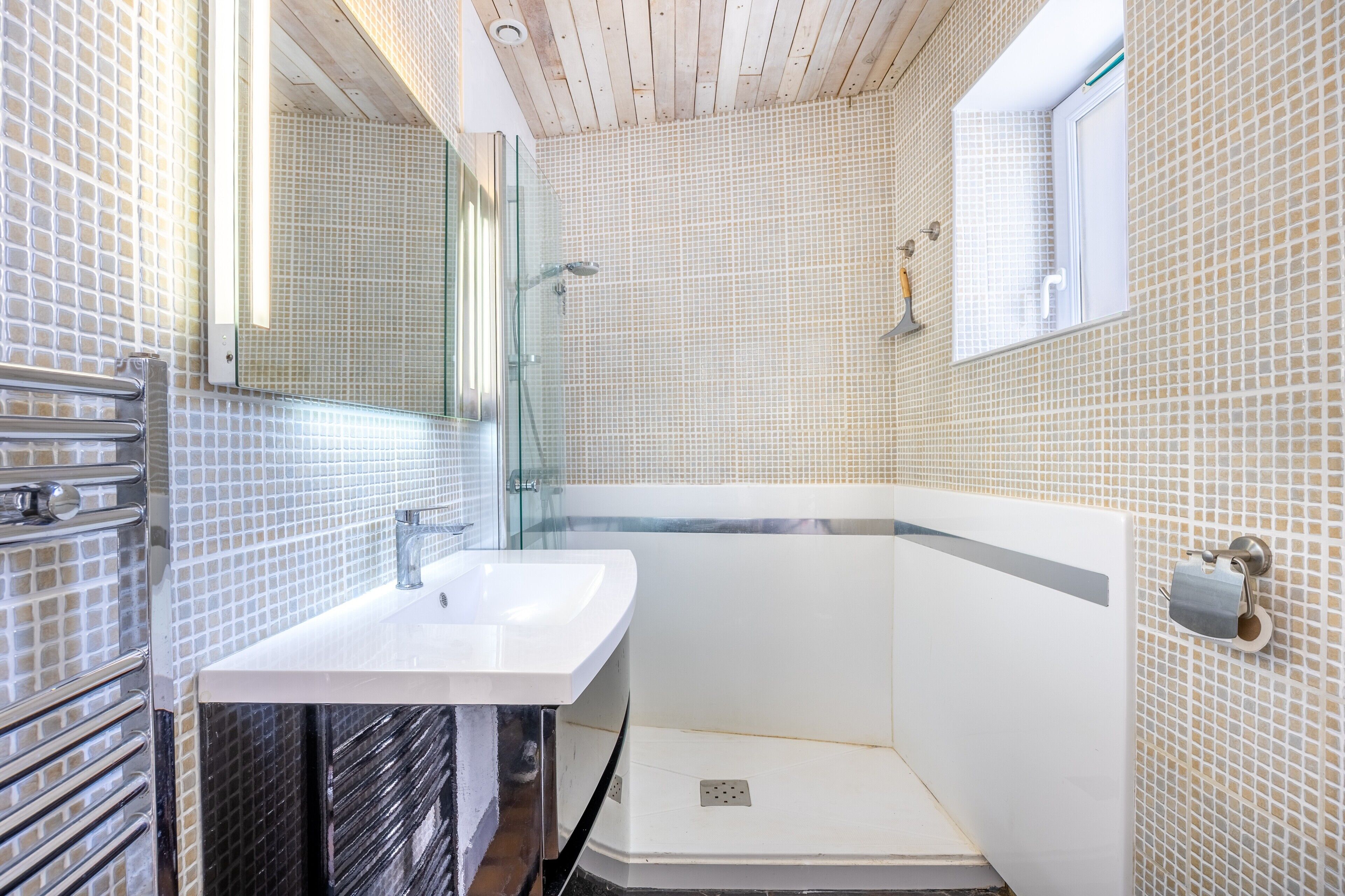 Shower, hair dryer