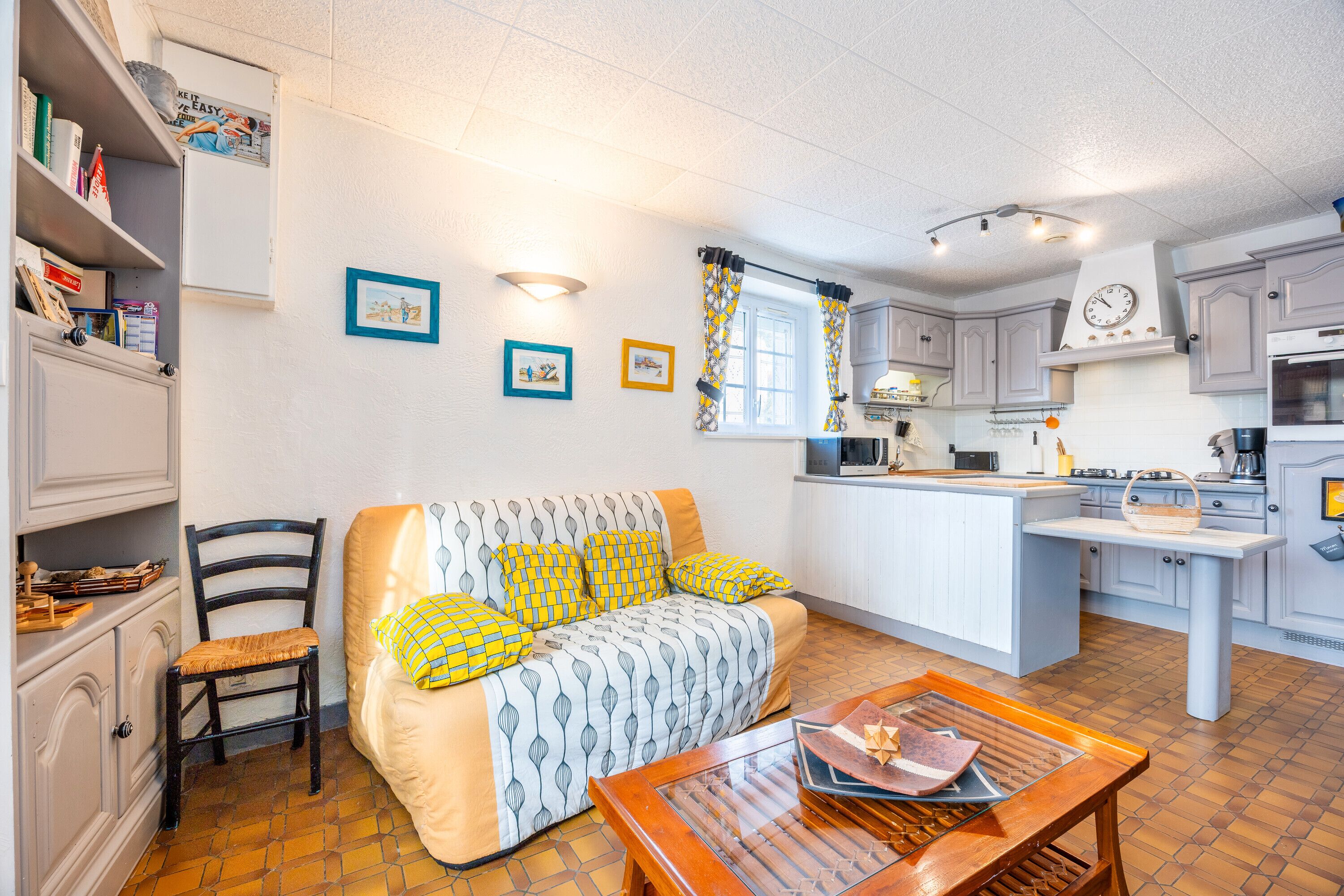 电视、DVD 播放器