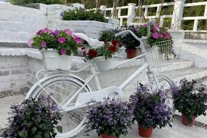 A white bicycle with a basket containing flowers and potted plants. - Manson Goat Cottage (A) - Nature escape hideaway (Ulu Telom)