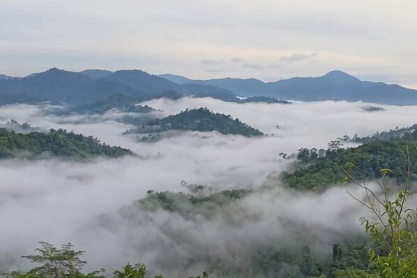 A mountainous landscape with forested hills and a valley. - Manson Goat Cottage (A) - Nature escape hideaway (Ulu Telom)
