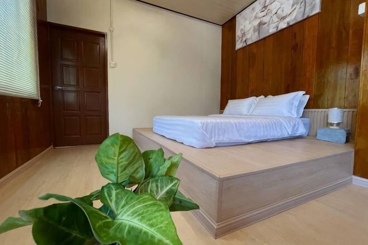 A room with a bed, a wooden door, a plant, and a wall-mounted light fixture.