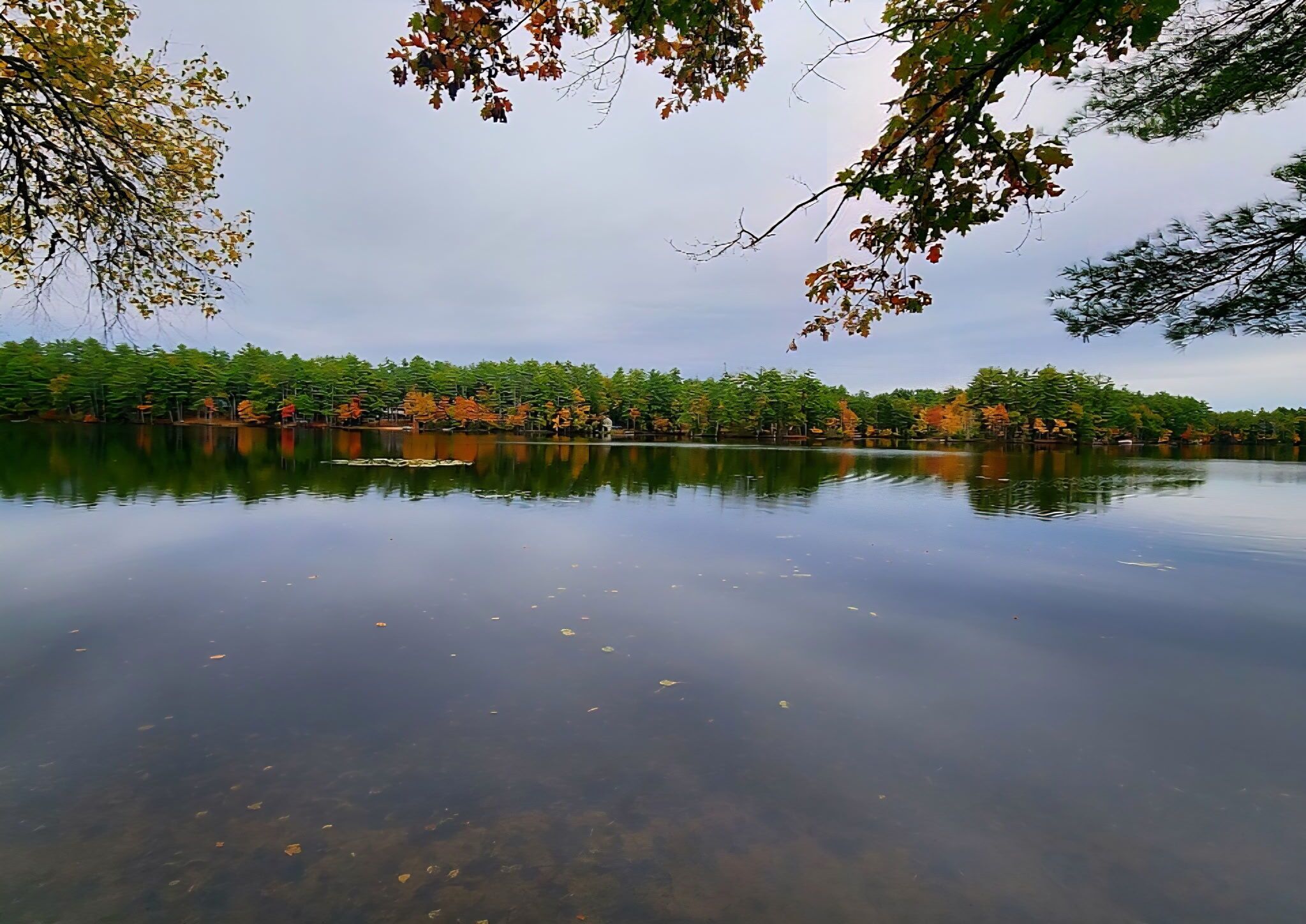 Ein ruhiger See mit Spiegelungen von Bäumen und einem klaren Himmel.
