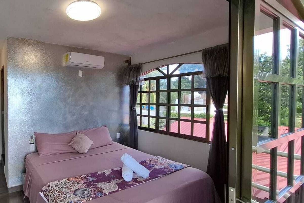 Un dormitorio con cama, una planta en maceta, una mesita y una ventana con vistas al exterior.