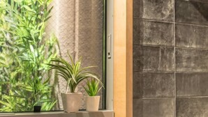 Een raam met twee potplanten op een vensterbank, een structuurwand op de achtergrond, en een betegelde muur aan de rechterkant.