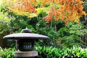 Terrain de l’hébergement