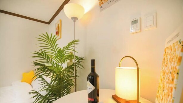 A room with a bed, a potted plant, a bottle of wine, and a table lamp. - CareCove (Seoul)