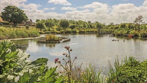 A serene pond with ducks, surrounded by lush greenery and a wooden fence. - Ewe Barn (St Austell)