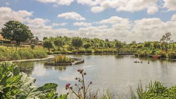 Cottage | Property grounds