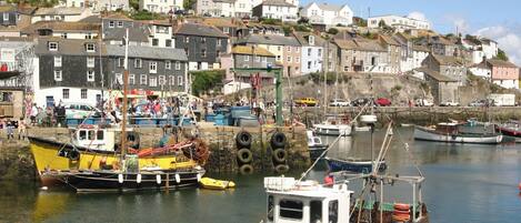 Casa de campo | Marina