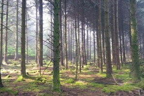 Miscellaneous - Tara Hill Estate (Wexford)