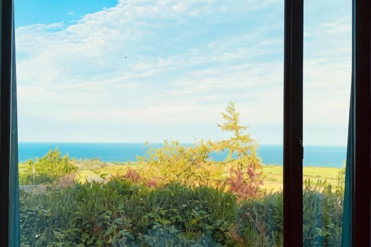 A view through a window with a clear sky, a distant horizon, and greenery in the foreground.