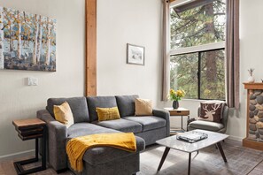 Smart TV, lareira, livros