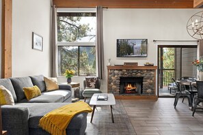 Smart TV, fireplace, books