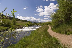 Une rivière traverse un paysage verdoyant, avec un sentier de terre qui longe ses rives.