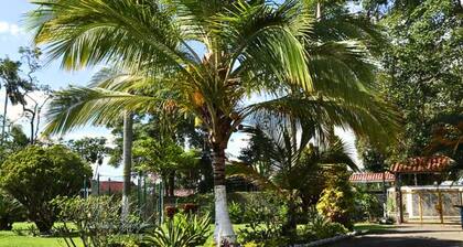 Vacation villa for groups and families with swimming pool, jacuzzi and fruit trees