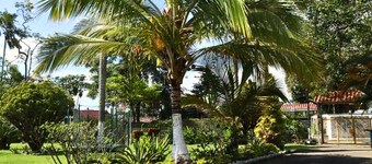 Vacation villa for groups and families with swimming pool, jacuzzi and fruit trees