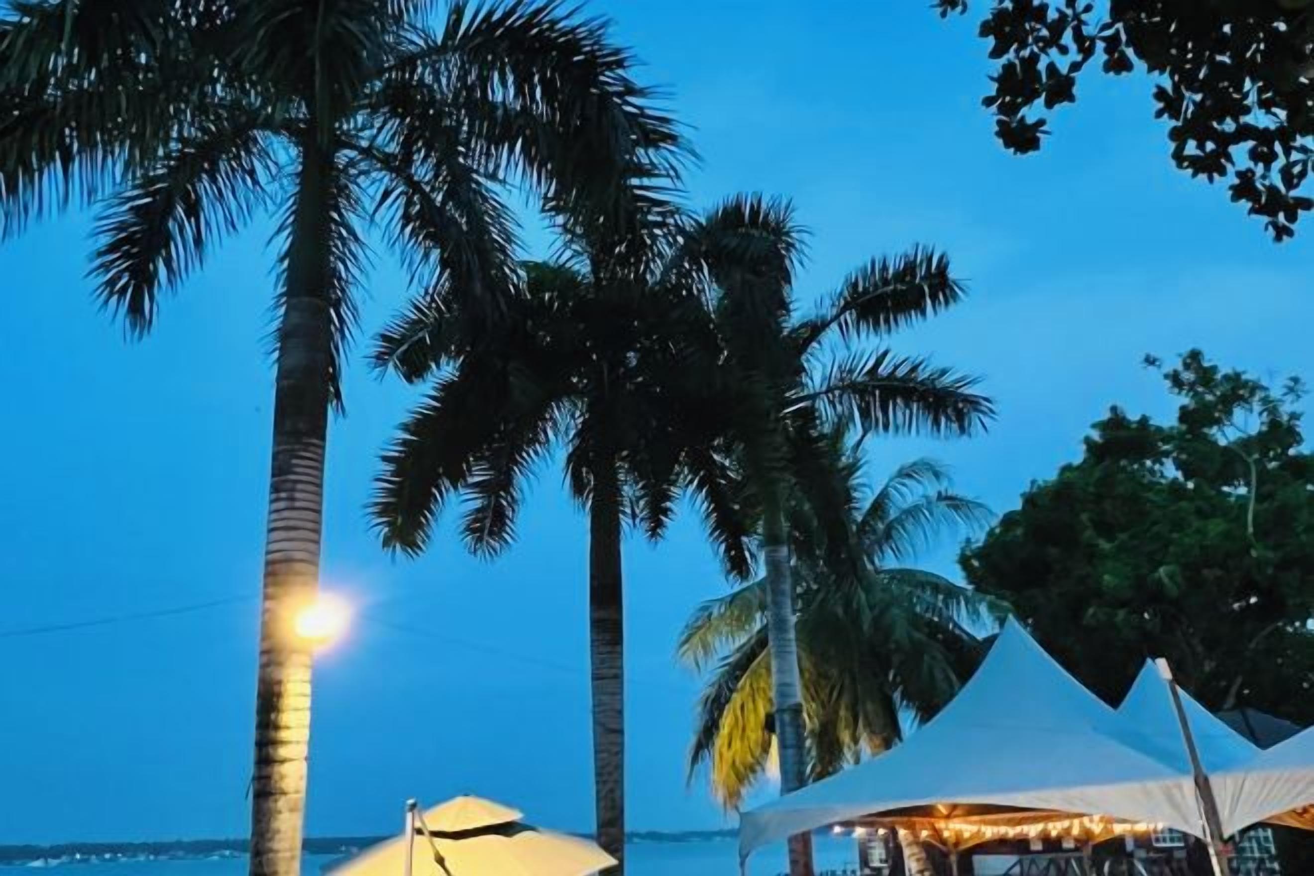 A beach scene with palm trees and a tented area.