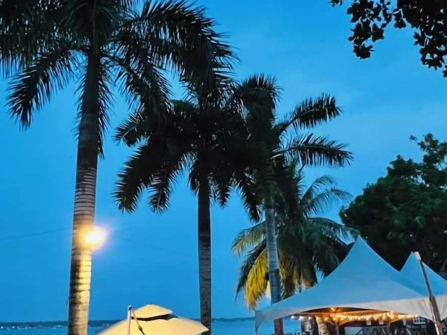A beach scene with palm trees and a tented area.