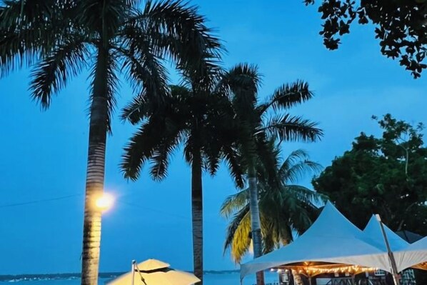 A beach scene with palm trees and a tented area.