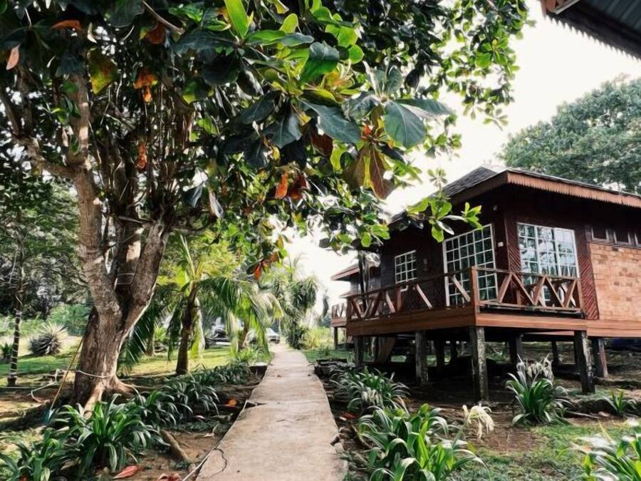 A wooden house with a balcony, surrounded by a garden with various plants and a pathway leading to it.
