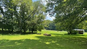 Un espace extérieur verdoyant, avec des arbres et un foyer.