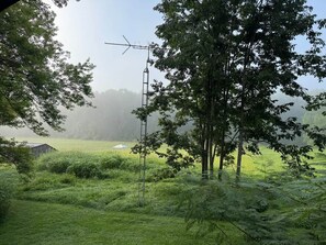 Un paysage rural avec une grange, des arbres et une échelle.